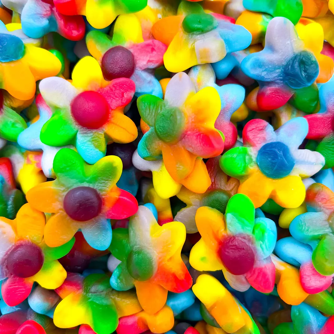 Fleurs Multicolore