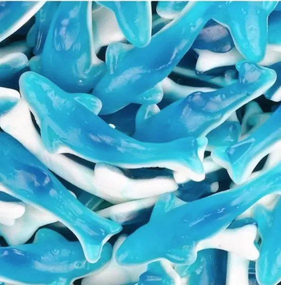 Requin Bleu